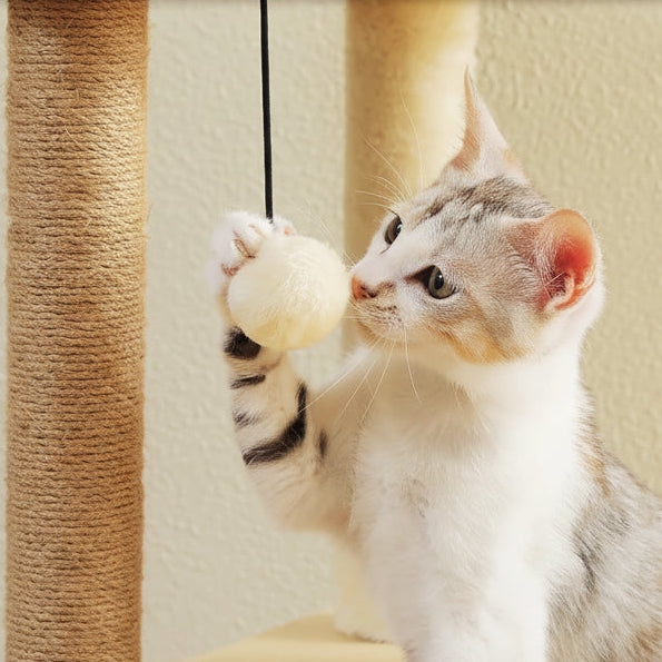Chaton gris et blanc jouant avec le pompon suspendu, à côté d'un poteau recouvert de corde de sisal