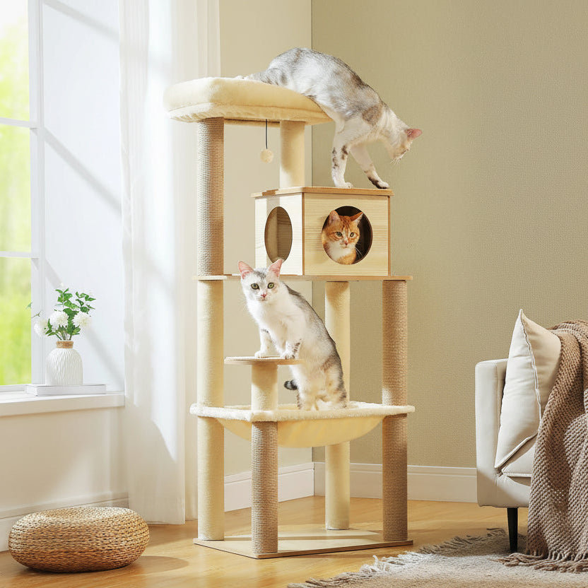 Tour à chat beige et bois près d'une fenêtre, avec un chat gris sur le plateau et un roux dans la niche