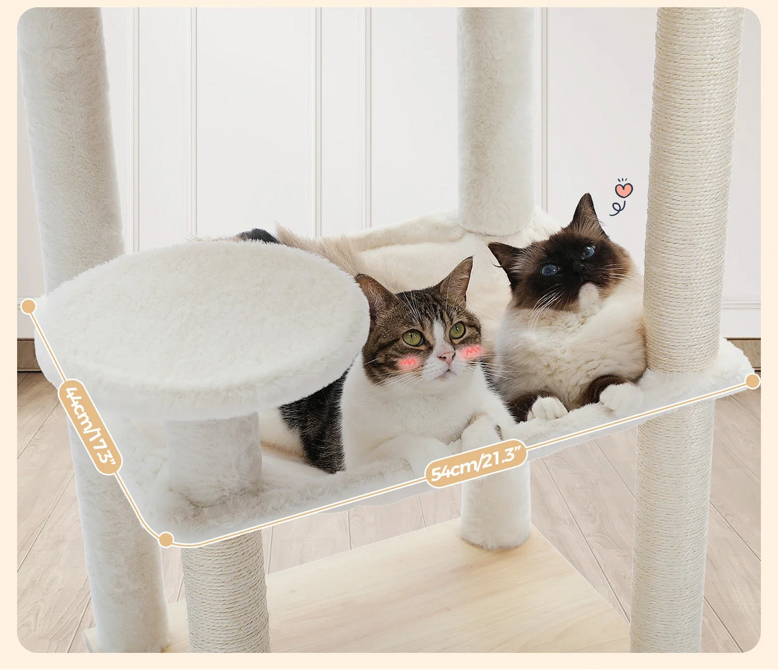 Deux chats allongés dans le hamac en peluche crème, dimensions indiquées : 54 × 44 cm