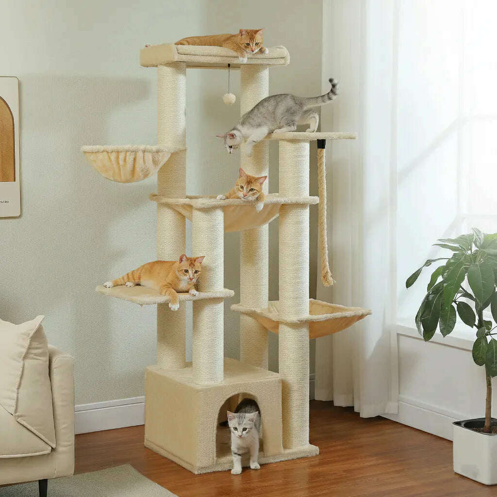Grand arbre à chat crème dans un salon lumineux, avec chats roux et gris sur les plateformes et un chaton dans la niche