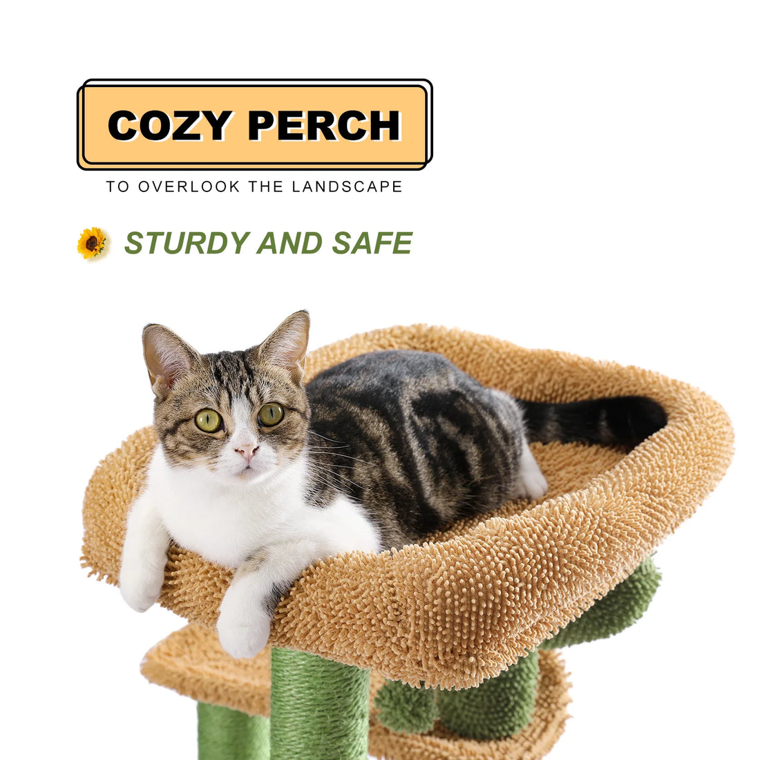 Chat tigré et blanc installé dans le grand panier en chenille beige du haut d'un arbre à chat cactus