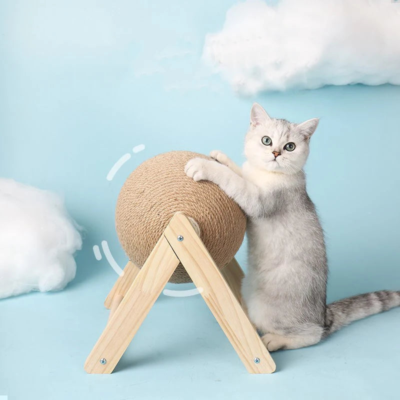 Cat playing with the scratching ball, paw raised