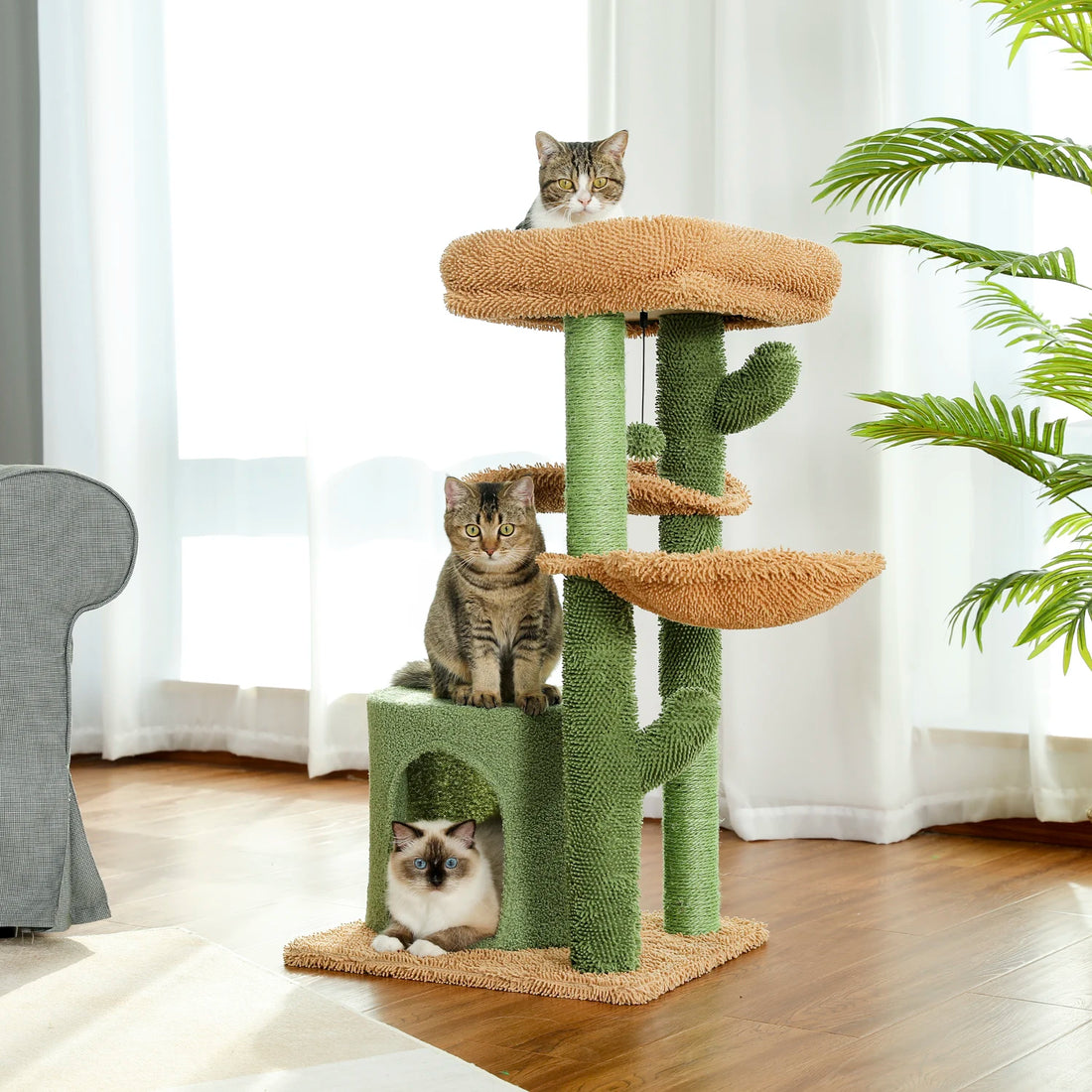 Griffoir cactus à plusieurs niveaux près d'un canapé gris et d'une plante, chat tigré en haut, un autre sur la niche