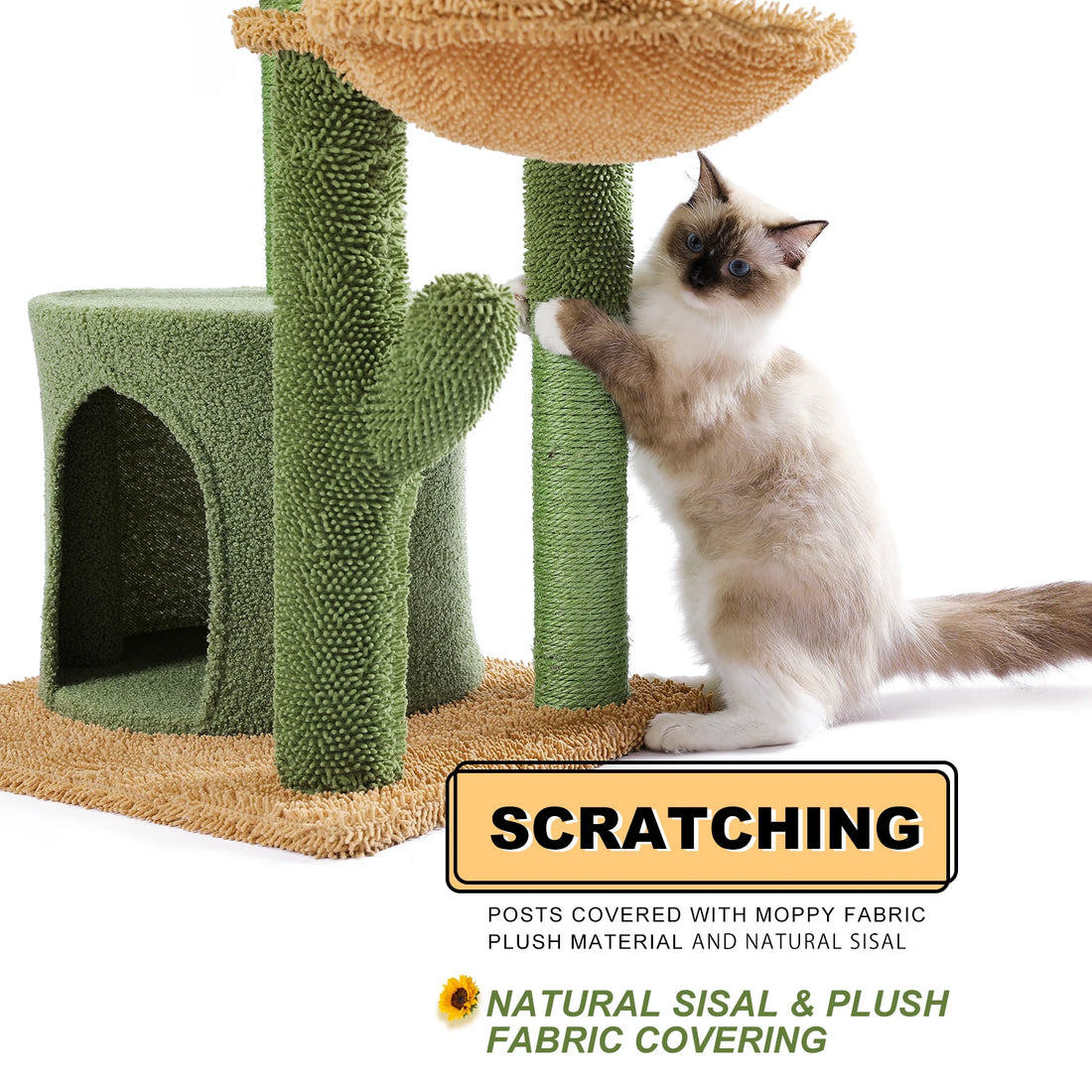 Ragdoll debout, pattes contre un poteau en sisal, à côté du tronc cactus en chenille verte et de la niche