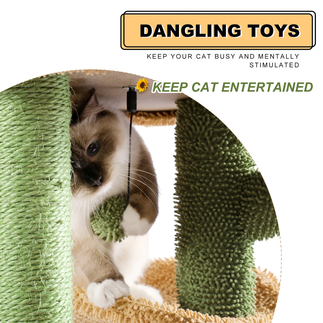 Ragdoll jouant avec la balle verte suspendue sous le plateau, entre un poteau en sisal et un tronc de cactus
