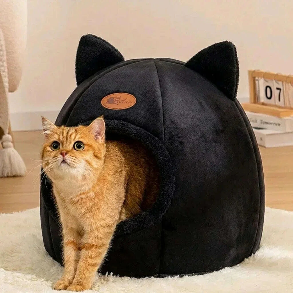 Chat roux debout devant une grotte douillette noire à oreilles, sur un tapis blanc à poils longs