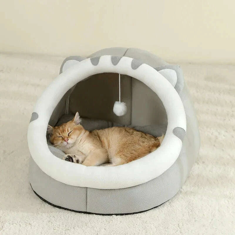 Small cat house