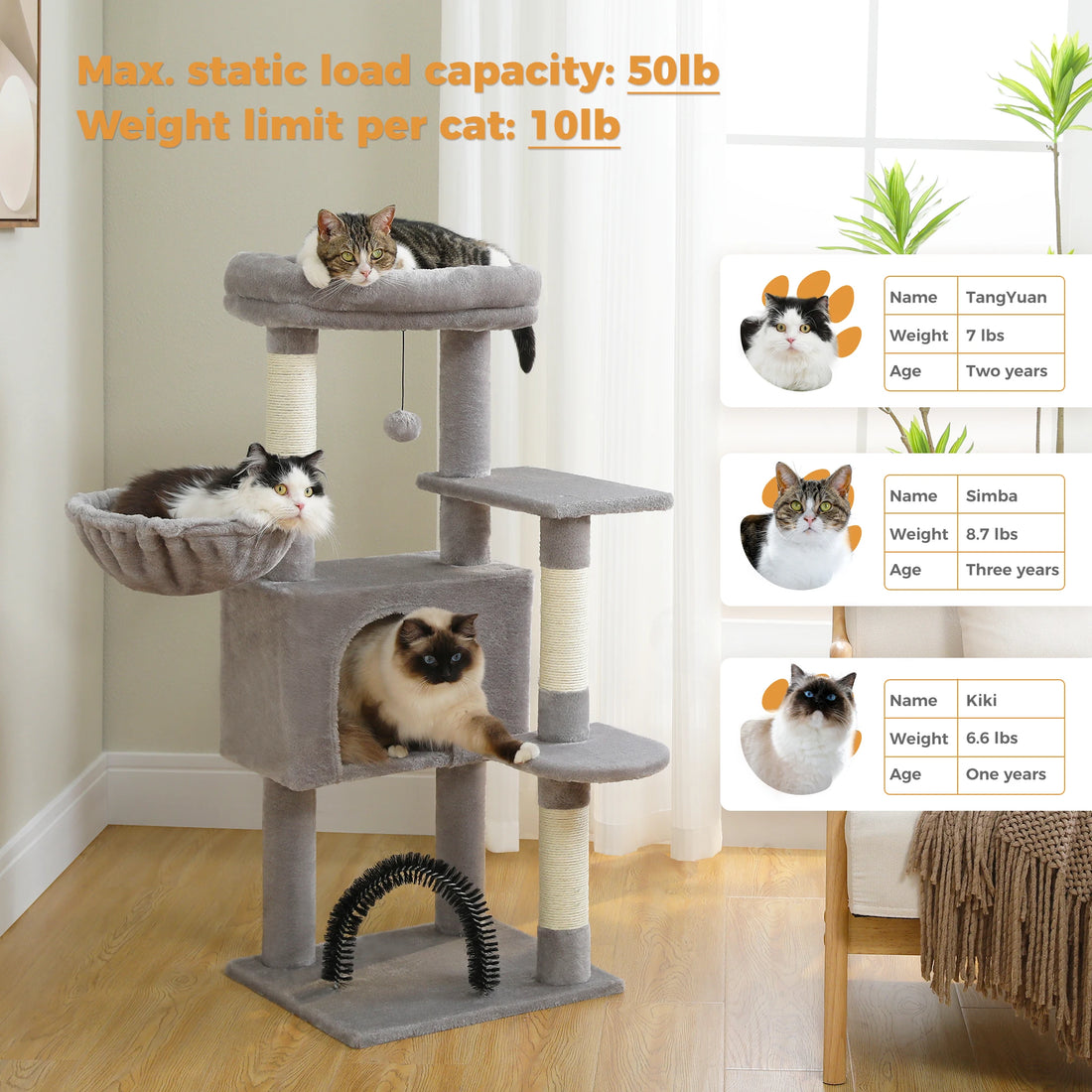 Arbre à chat gris avec trois chats et tableau récapitulatif de leurs poids ; charge maximale de 50 lb, 10 lb par chat