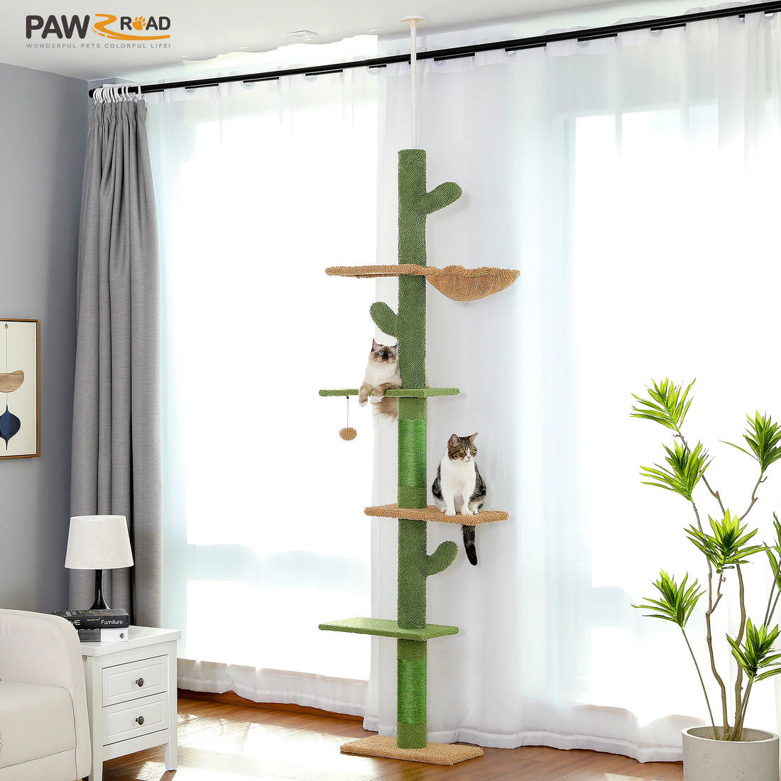 Arbre à chat cactus du sol au plafond dans un salon lumineux, avec un chat ragdoll et un chat tigré blanc sur les plateformes