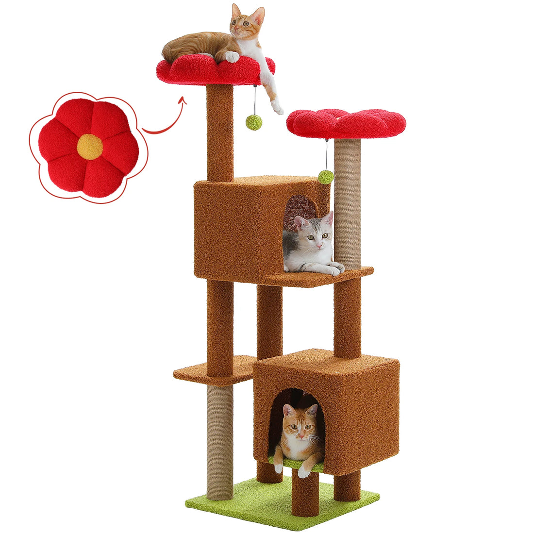 Tour à chat marron sur fond blanc, plateaux fleur rouge, trois chats dans les niches et vignette de la fleur en détail