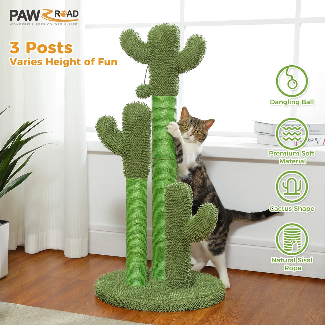 Griffoir cactus vert à trois hauteurs de poteaux avec balle suspendue, chat tigré qui s'y accroche près d'une plante