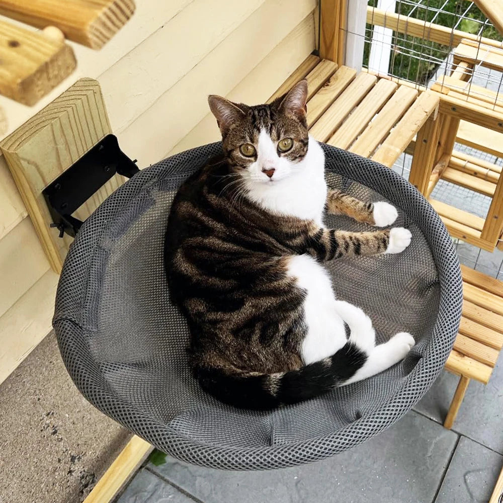 Chat tigré et blanc allongé sur le côté dans un hamac gris en maille, fixé à une structure en bois en extérieur