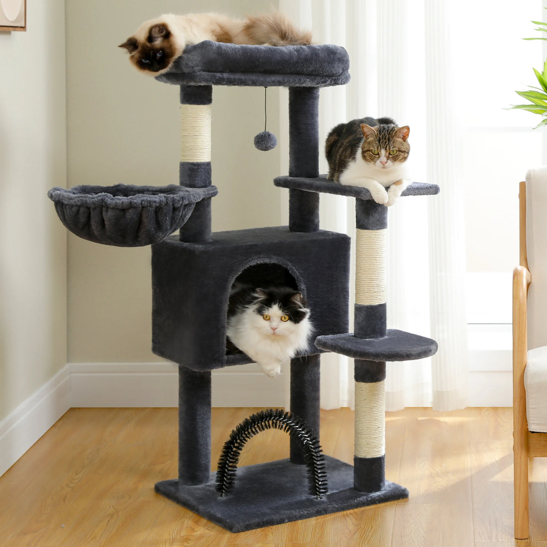 Griffoir haut gris anthracite en salon : siamois au sommet, chat tigré sur une plateforme