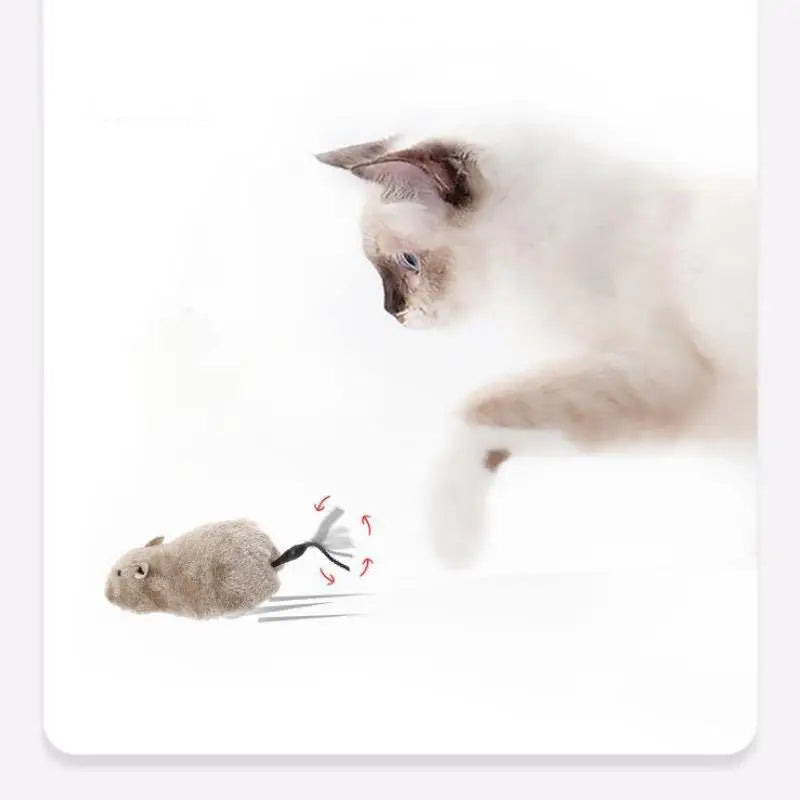 Plush wind-up mouse cat toy