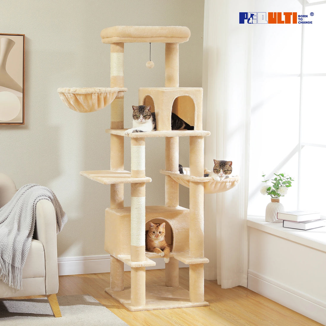 Grand arbre à chat beige près d'une fenêtre, avec trois chats couchés dans une niche, un hamac et la niche basse