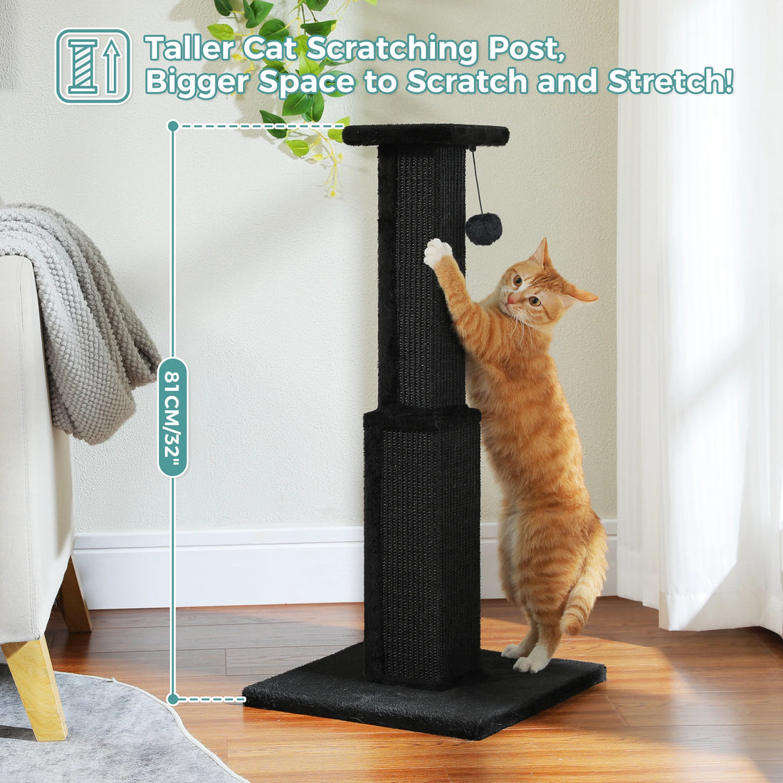 Arbre à griffer noir de 81 cm de haut avec cote indiquée, chat roux qui s'étire contre le sisal