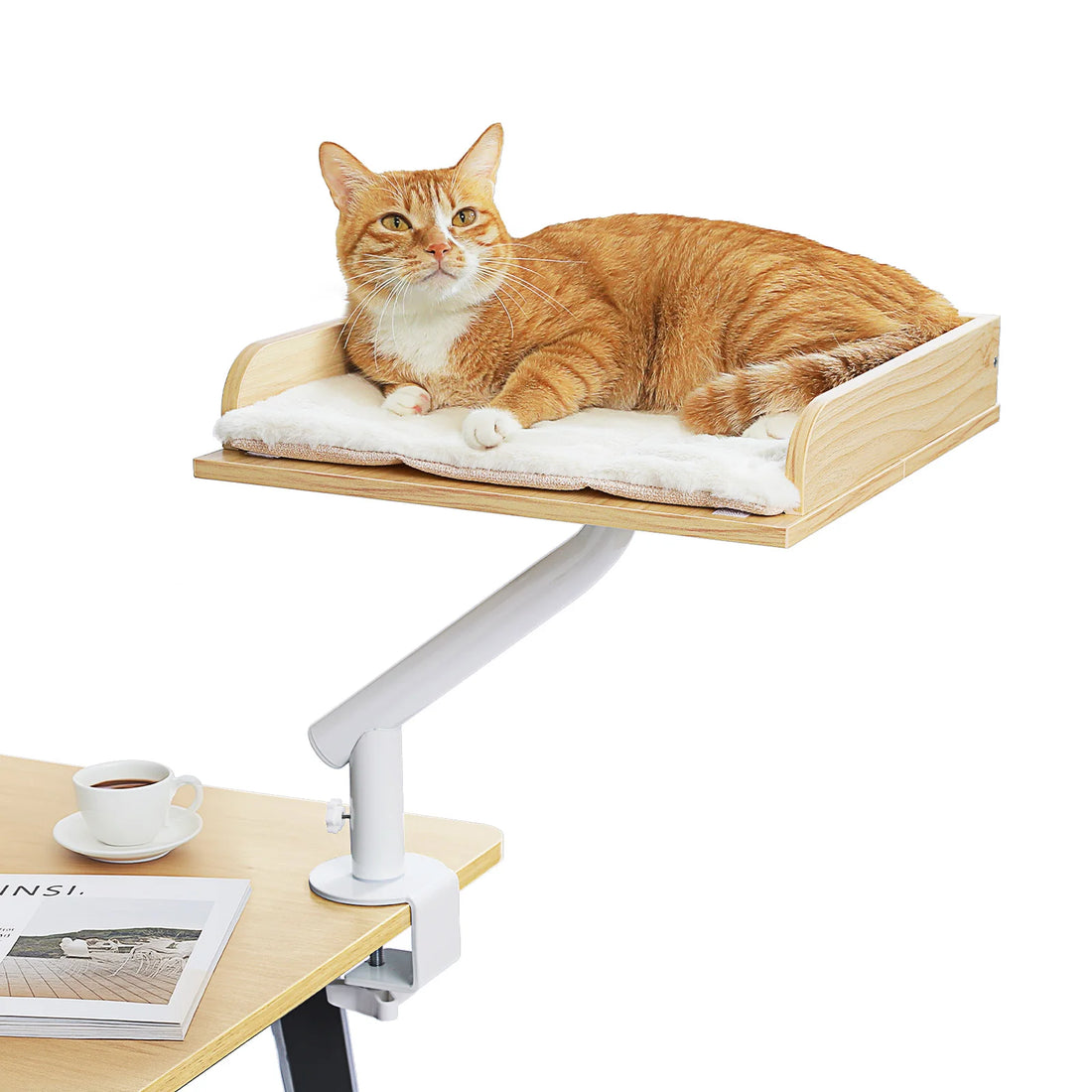 Chat roux sur une tablette de bureau en bois clair avec coussin blanc, bras blanc pincé sur une table