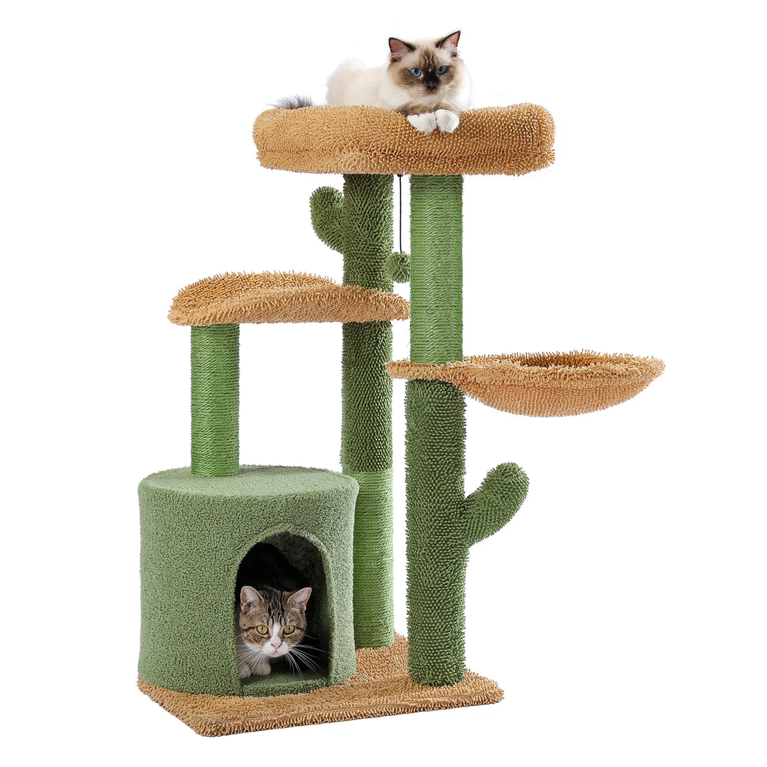 Arbre à chat cactus avec un ragdoll sur le plateau du haut et un chat tigré dans la niche verte