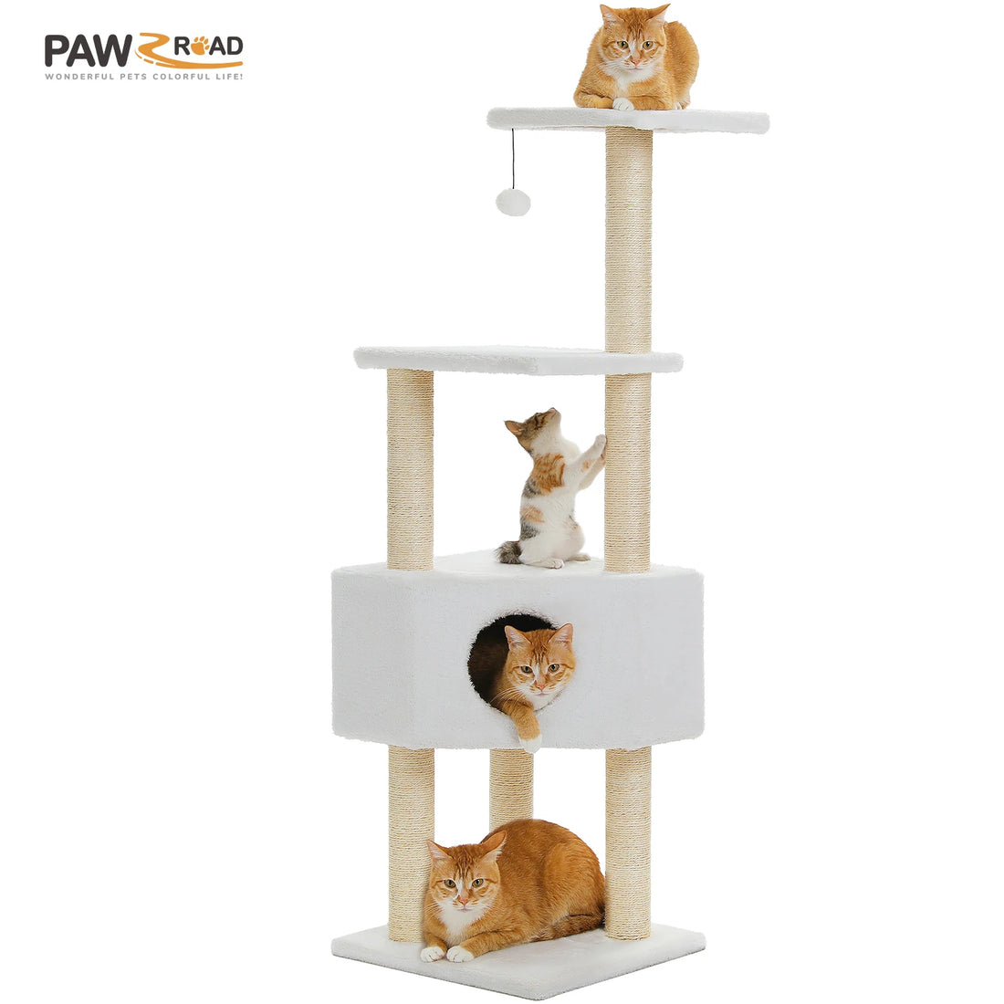Griffoir sur plusieurs niveaux blanc et sisal avec grande niche ronde, plateformes et quatre chats roux ou tricolores