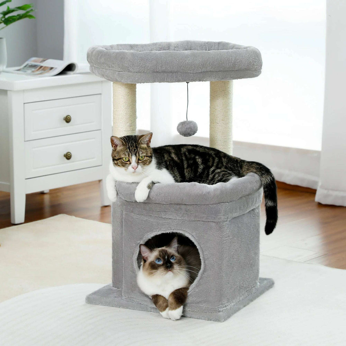 Arbre à chat gris avec plateau rond, poteaux en sisal, chat tigré dans le panier et ragdoll dans la niche