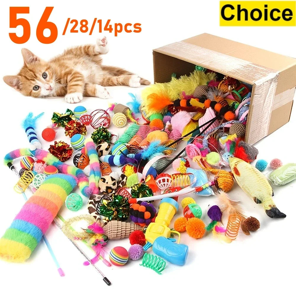 Lot de jouets pour chat de 14, 28 ou 56 pièces renversé d'un carton, avec un chaton roux allongé