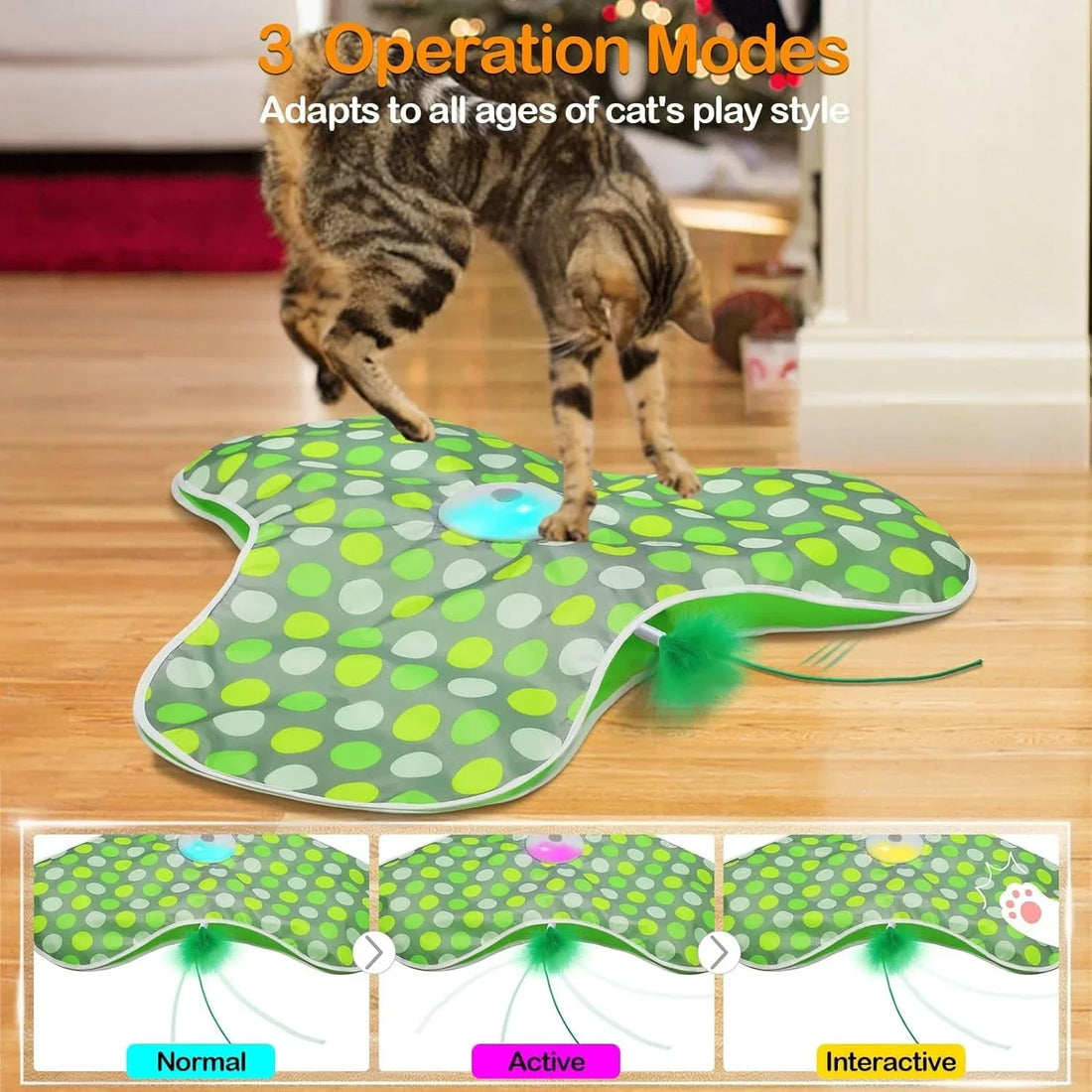 Chat tigré dressé sur un tapis de jeu vert avec plume cachée, et les trois modes : normal, actif, interactif