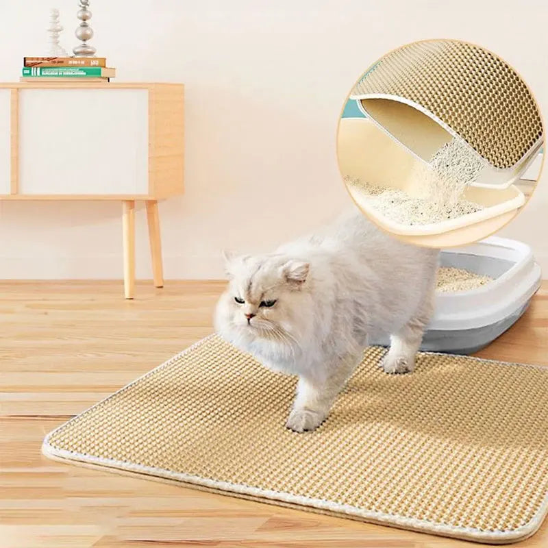 Chat persan blanc debout sur un tapis de litière sable près d'un bac ouvert, vue de la versation en médaillon