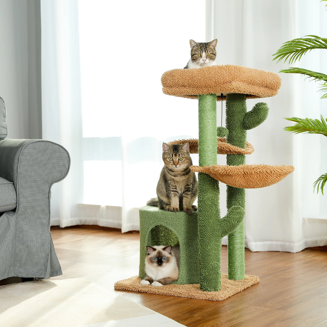 Arbre à chat cactus dans un salon lumineux, trois chats répartis sur le plateau, le toit et dans la niche