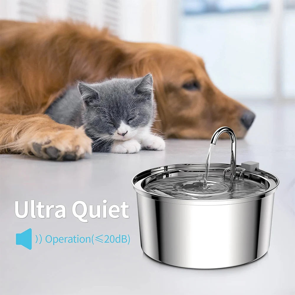 Chaton gris couché contre un golden retriever près d'une fontaine inox silencieuse, moins de 20 dB