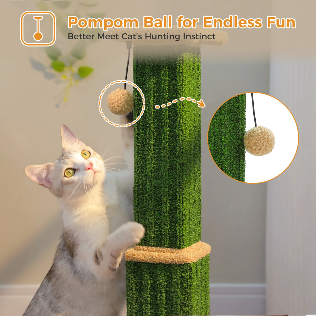 Chat blanc et gris levant les yeux vers le pompon beige d'un griffoir vert, pompon agrandi dans un cercle