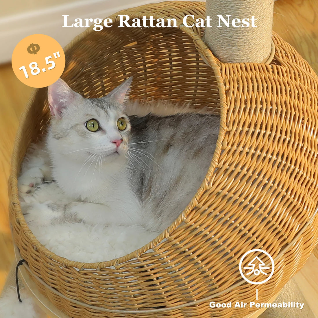 Grand nid en rotin de 47 cm de diamètre où un chat gris et blanc est couché sur un coussin blanc