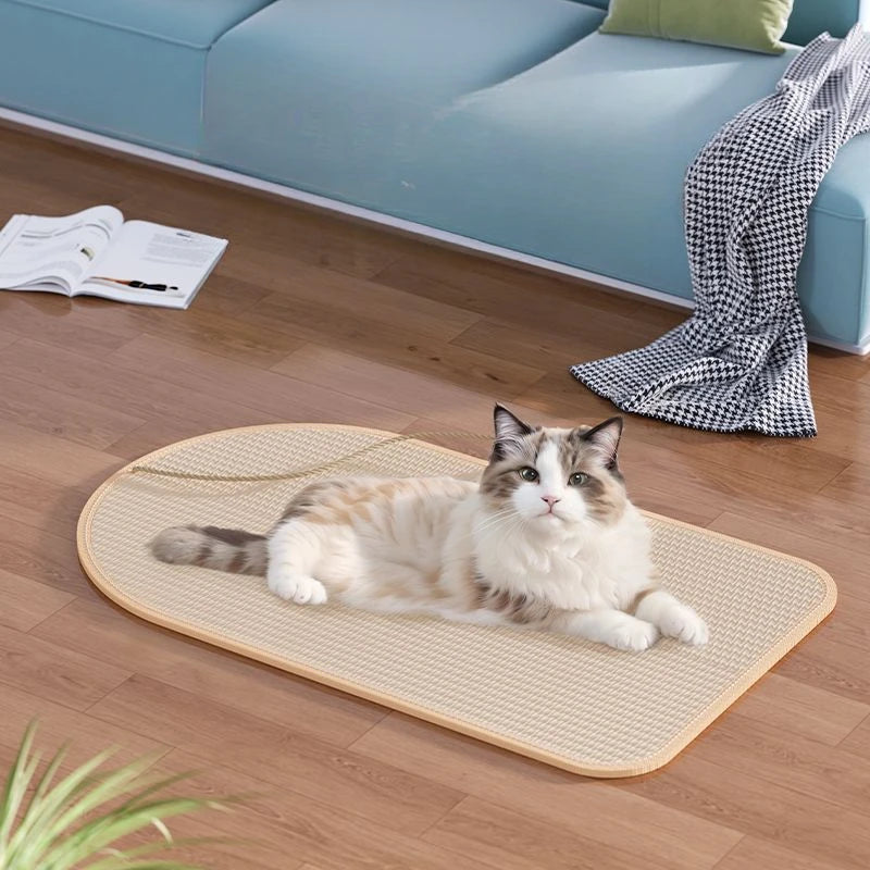 Chat blanc et beige allongé sur un tapis en sisal arrondi posé au sol, devant un canapé bleu
