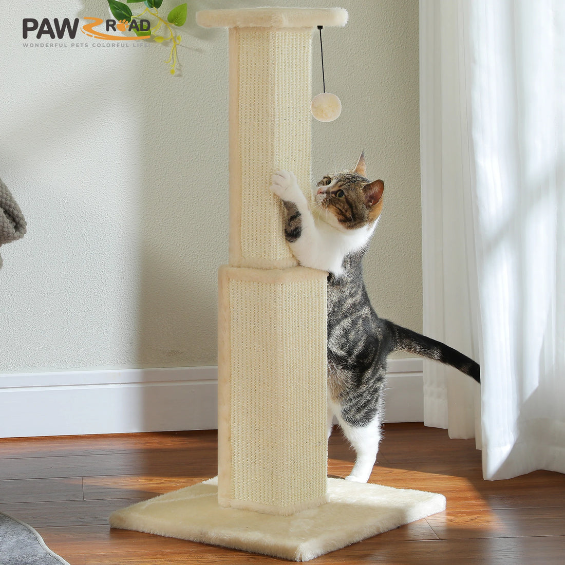 Griffoir crème en sisal et son pompon, chat tigré qui s'étire contre la colonne, parquet et rideau clair
