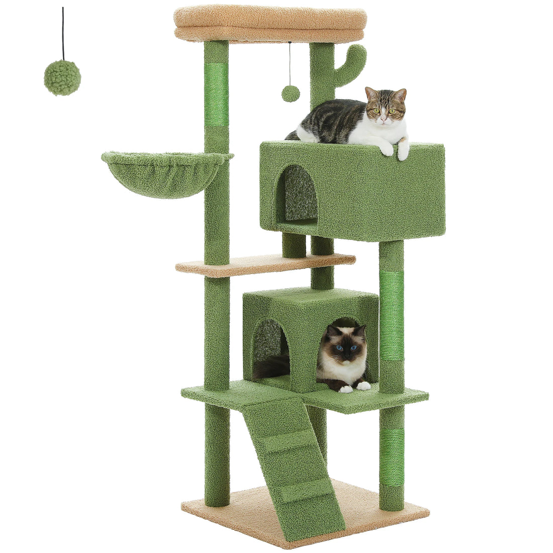 Arbre à chat vert et sable sur fond blanc, tigré sur la niche haute et siamois dans la niche du bas, avec échelle