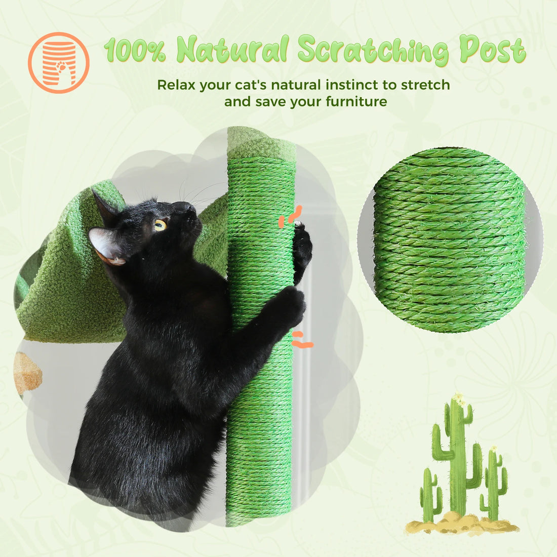Chat noir dressé contre un poteau vert recouvert de sisal, avec zoom sur la corde naturelle tressée