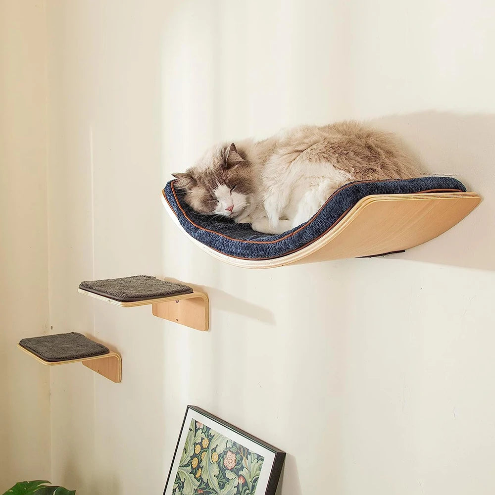 Chat au pelage crème et brun endormi sur une tablette courbe à coussin bleu, près de deux marches murales
