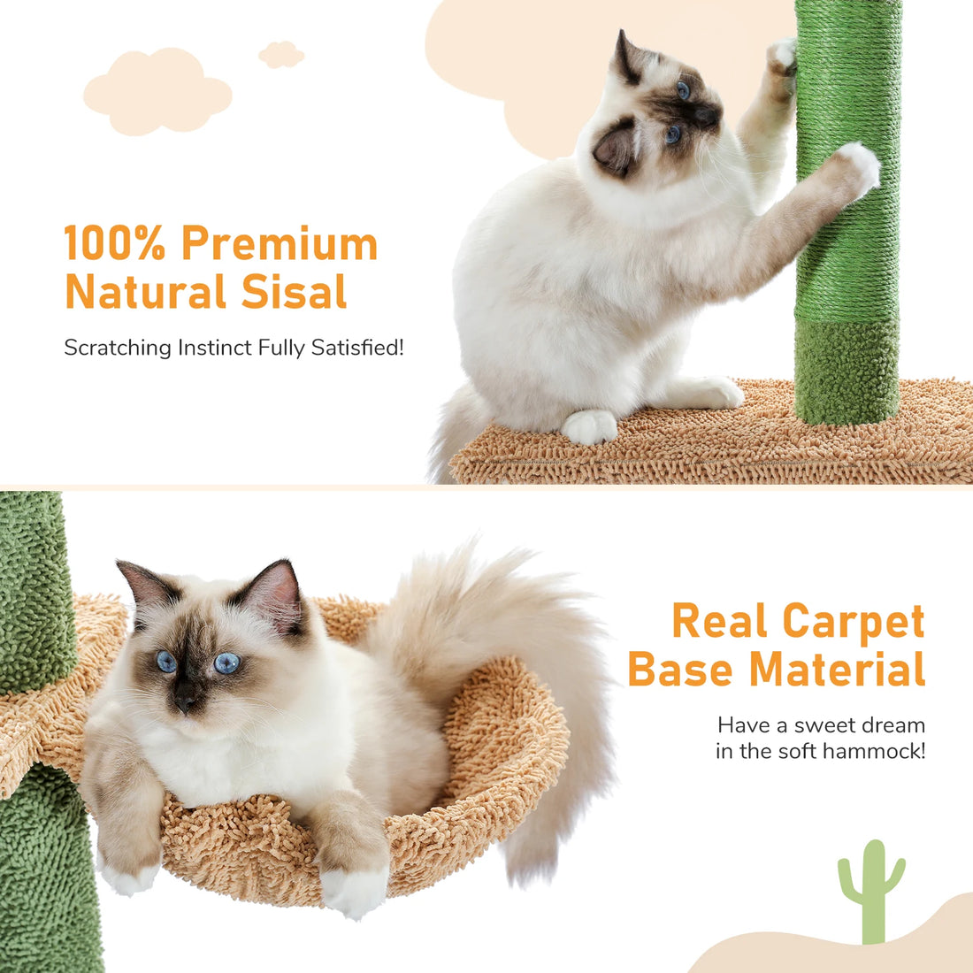 Infographie : sisal naturel 100 % et hamac en moquette douce, chat ragdoll qui griffe le poteau puis se repose