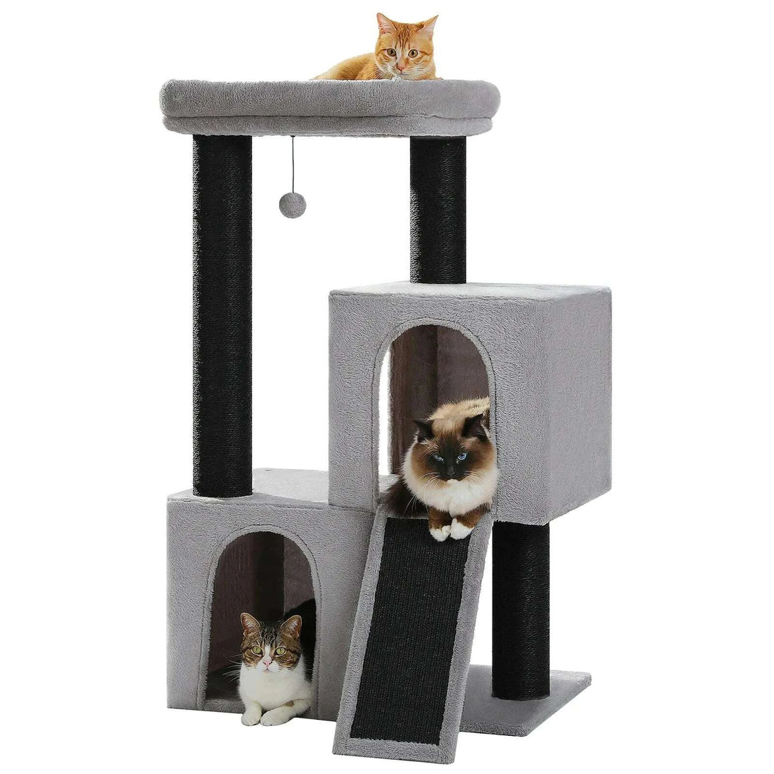 Modern design cat tree
