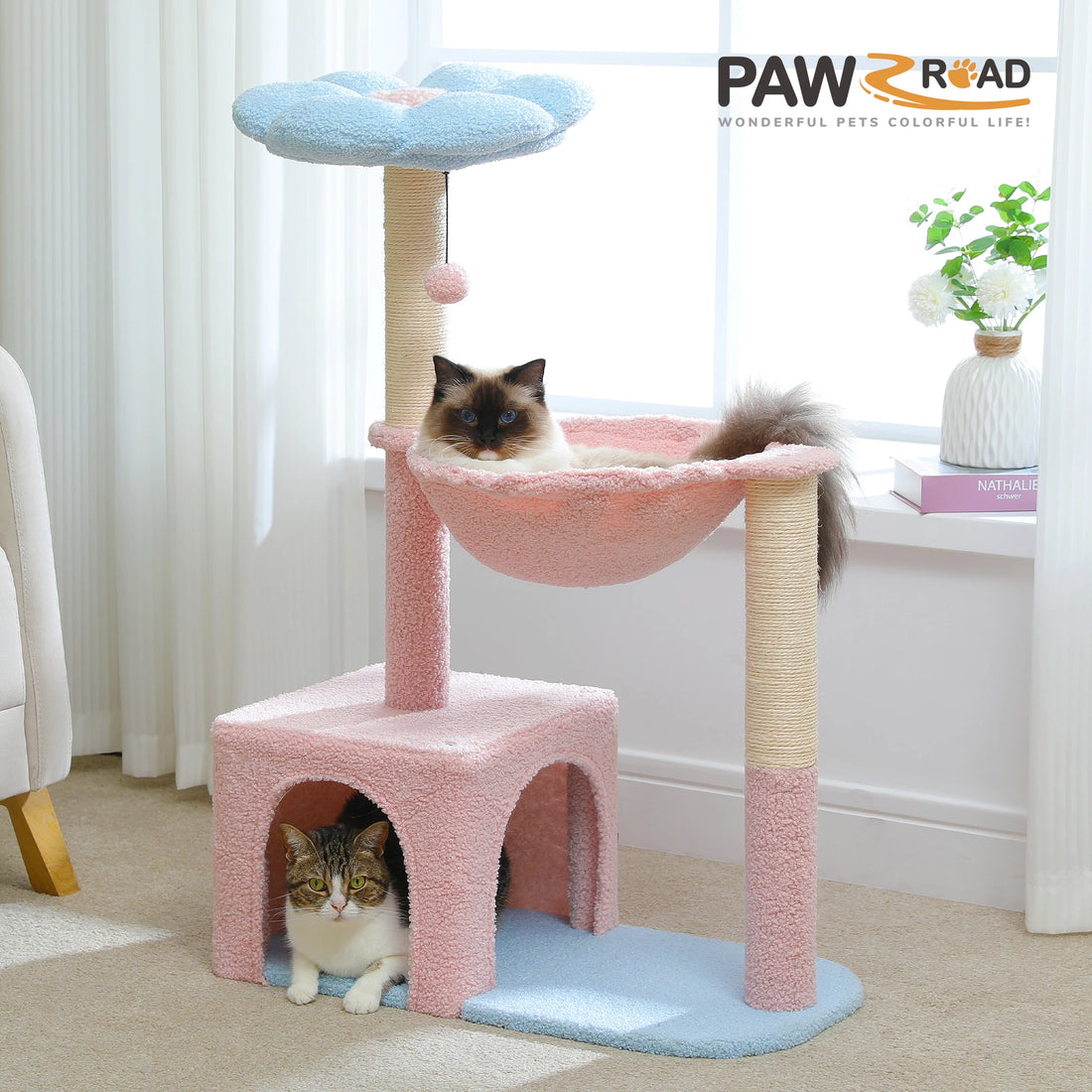 Arbre à chat rose et bleu près d'une fenêtre, un ragdoll dans le hamac et un chat tigré couché dans la niche