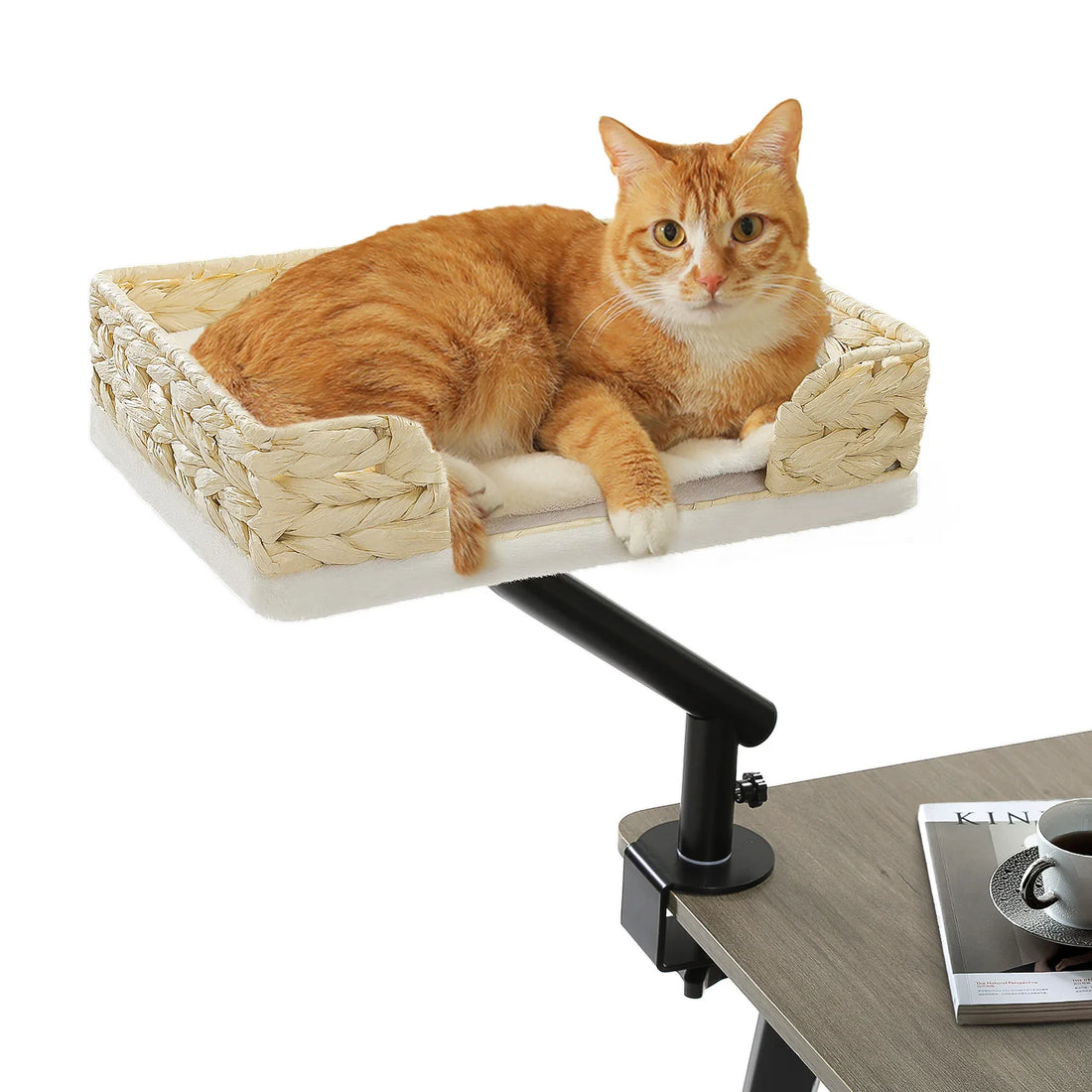 Chat roux détendu dans un panier de bureau en rotin clair à coussin blanc, pince noire fixée au plateau gris
