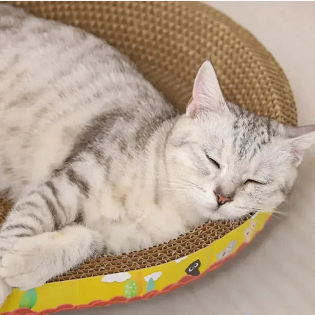 Gros plan d'un chat gris et blanc les yeux fermés, tête posée sur le bord jaune du griffoir