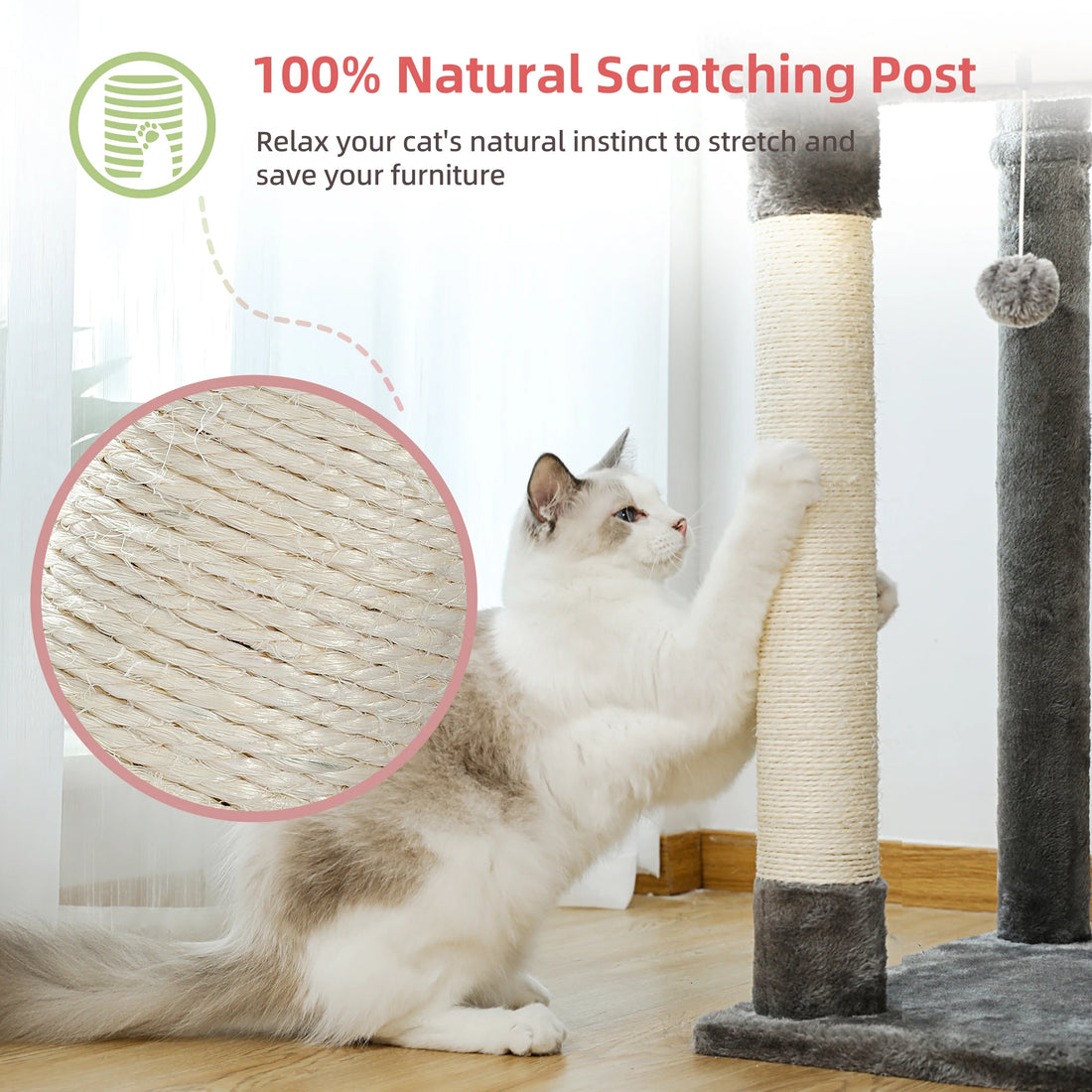 Chat blanc et gris étiré contre un griffoir en sisal naturel, avec zoom sur la corde, poteau gris et pompon au fond