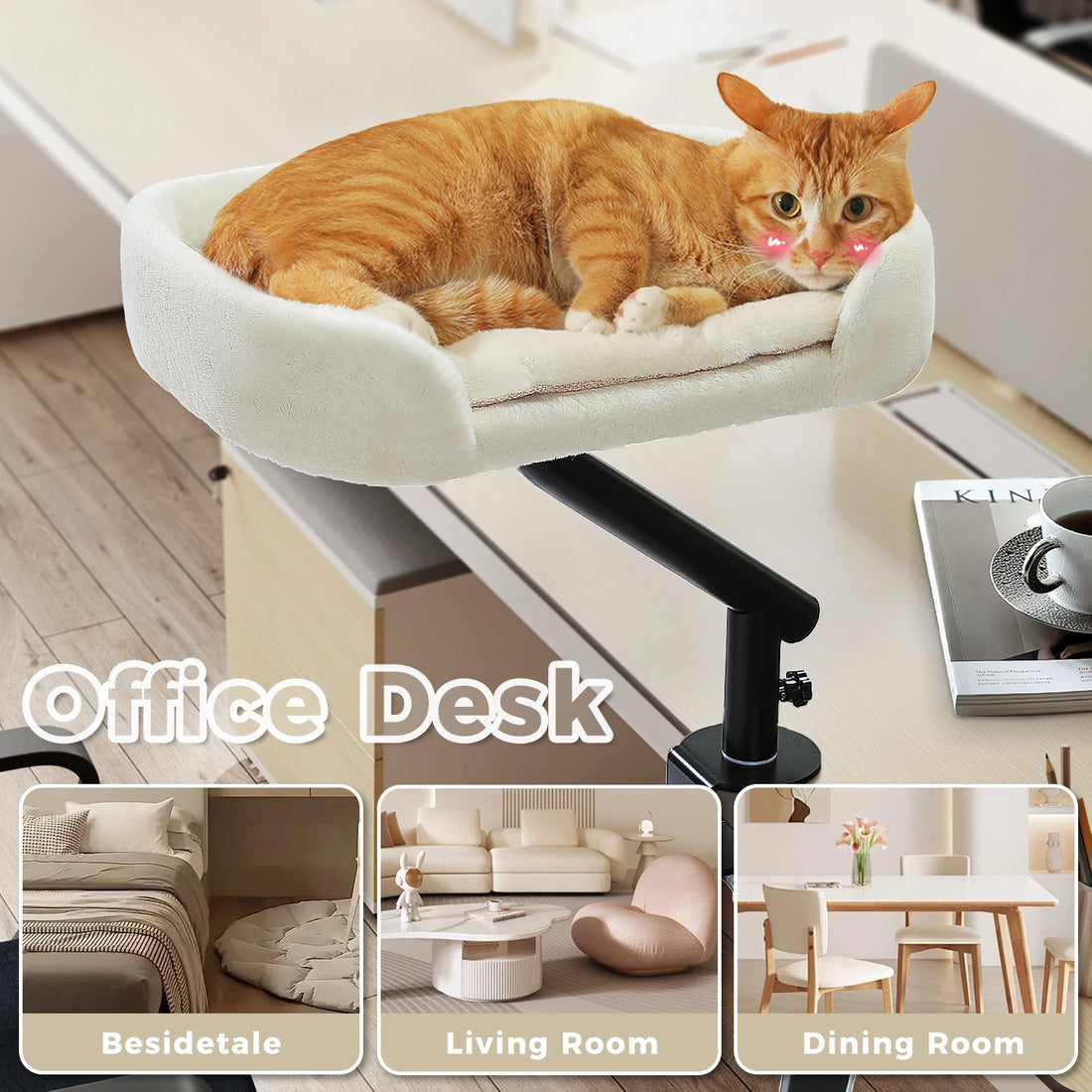Chat roux dans un lit de bureau blanc pivotant, avec vignettes chambre, salon et salle à manger
