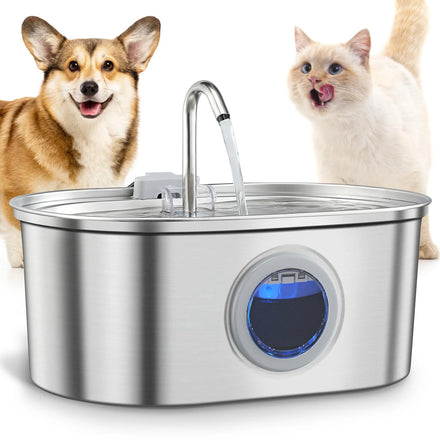 Fontaine à eau en inox brossé avec fenêtre bleue, entre un corgi et un chat crème qui se lèche les babines