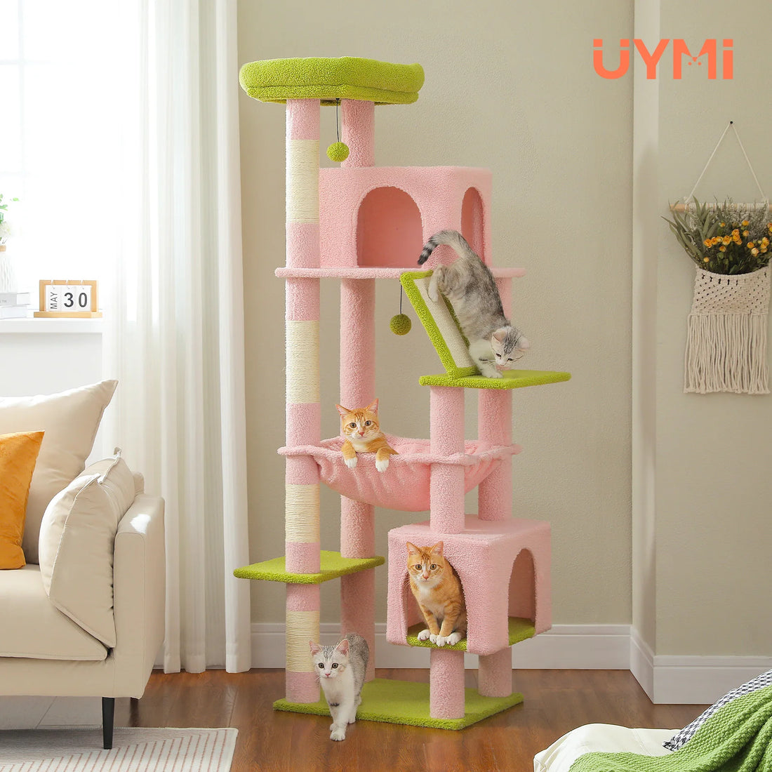 Arbre à chat rose et vert pomme au salon, avec chatons gris et roux dans les niches, le hamac rose et sur la rampe