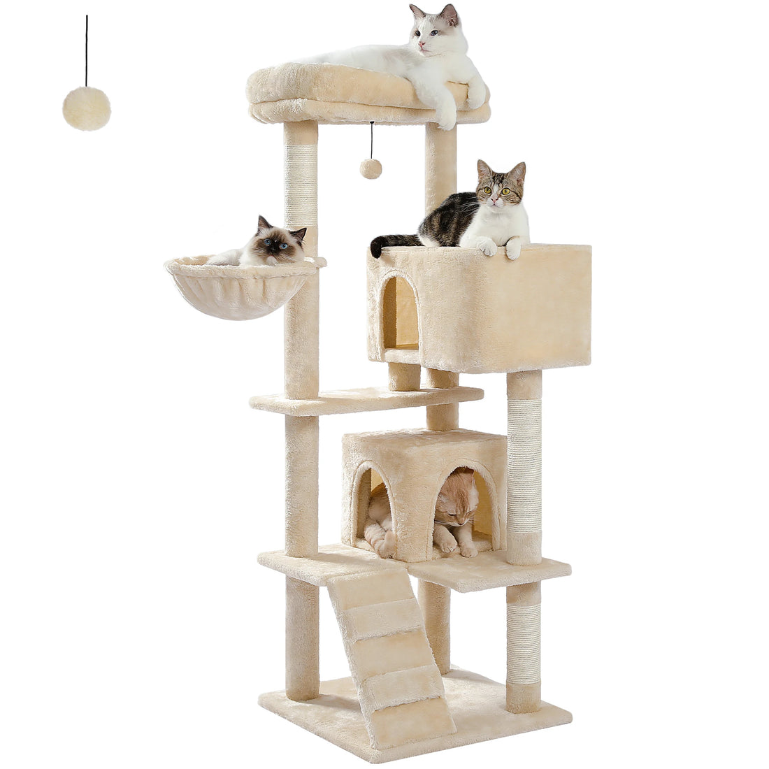 Arbre à chat beige détouré avec chat blanc au sommet, tigré sur la grande niche