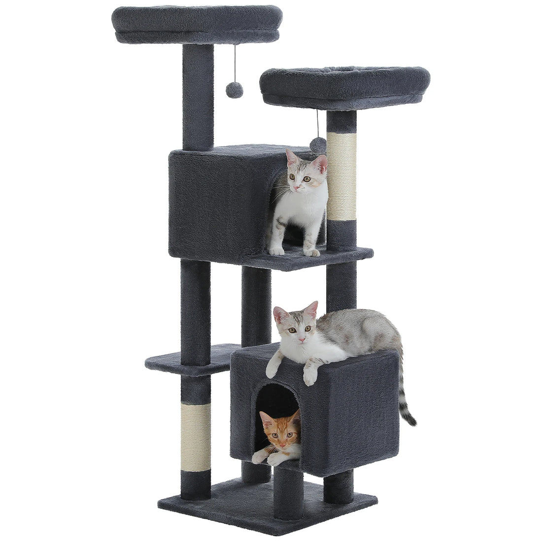 Arbre à chat gris foncé sur fond blanc, chaton dans la niche haute, deux chats sur et dans la niche basse