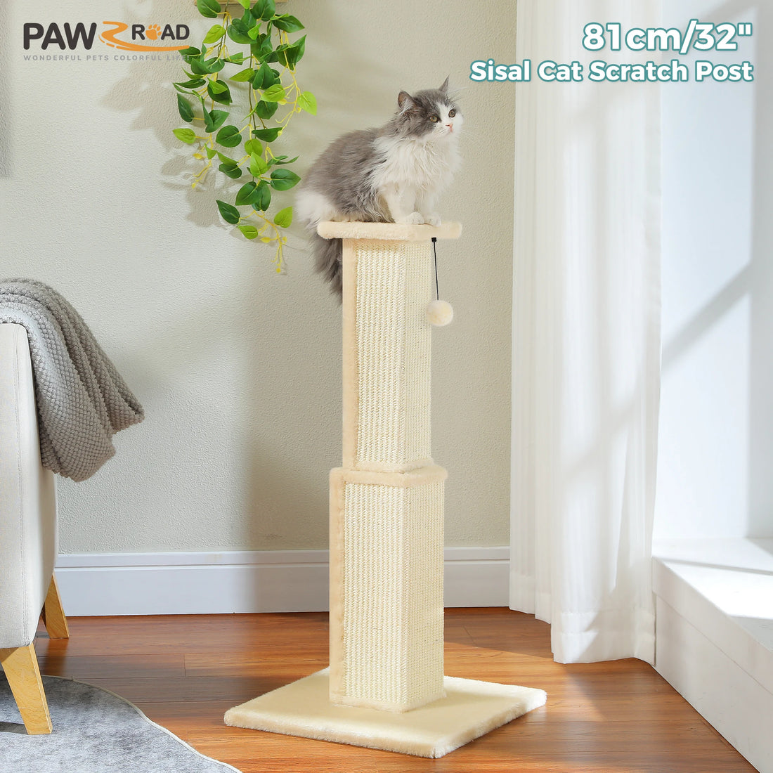 Chat gris et blanc à poils longs installé sur le plateau d'un poteau à griffer beige de 81 cm en sisal