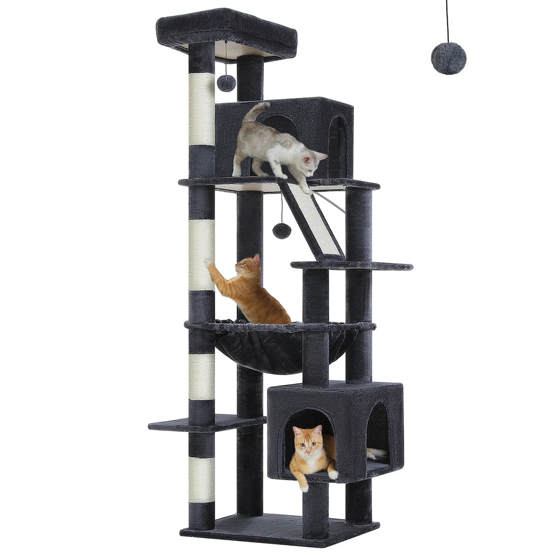 Arbre à chat gris anthracite avec chaton gris en haut, chat roux griffant au-dessus du hamac noir et un autre dans la niche