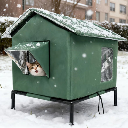 Abri extérieur vert surélevé sous la neige, chat tigré blanc qui passe la tête sous le rabat de l'entrée